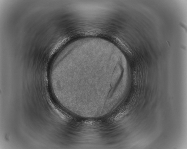 X0000096700634200803041322