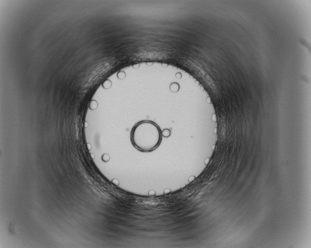 X0000096700635200803041322