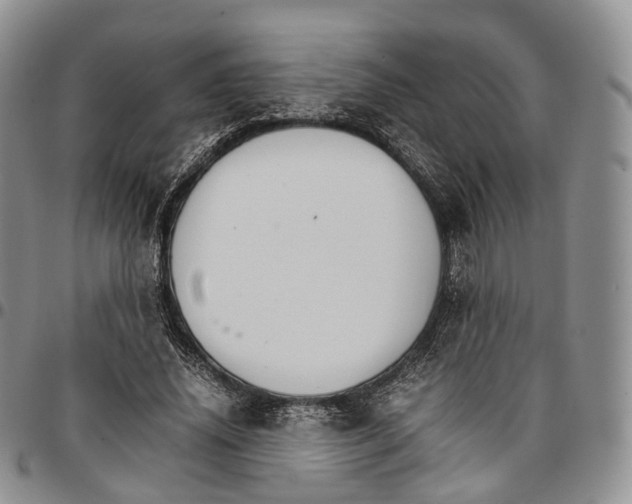 X0000096700636200803041322