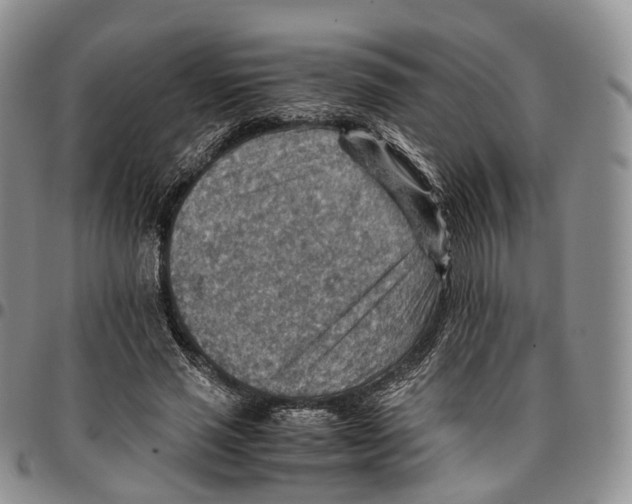 X0000096700637200803041322