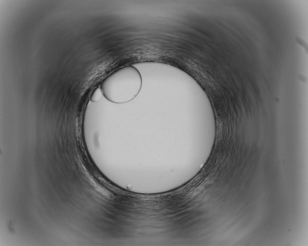 X0000096700638200803041322