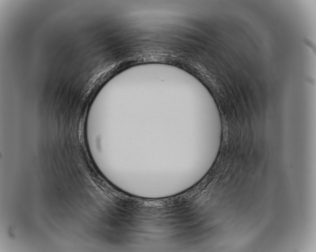 X0000096700640200803041322