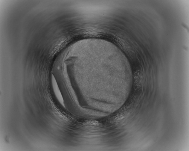 X0000096700642200803041322