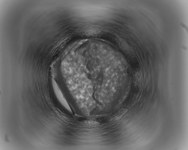 X0000096700644200803041322