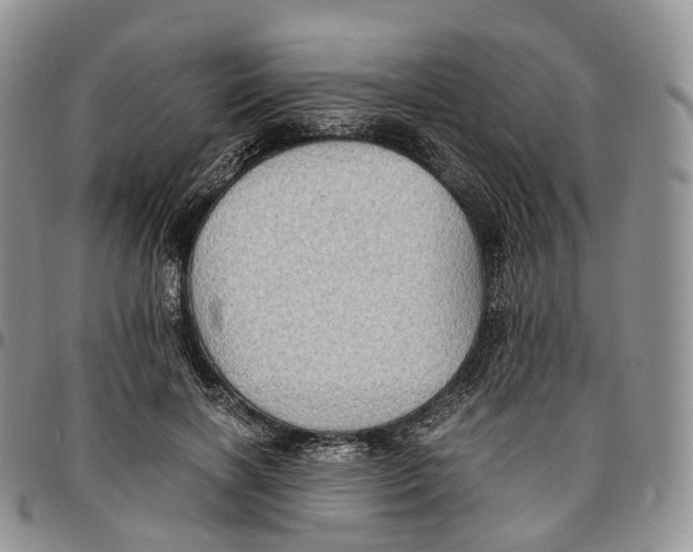 X0000096700646200803041322