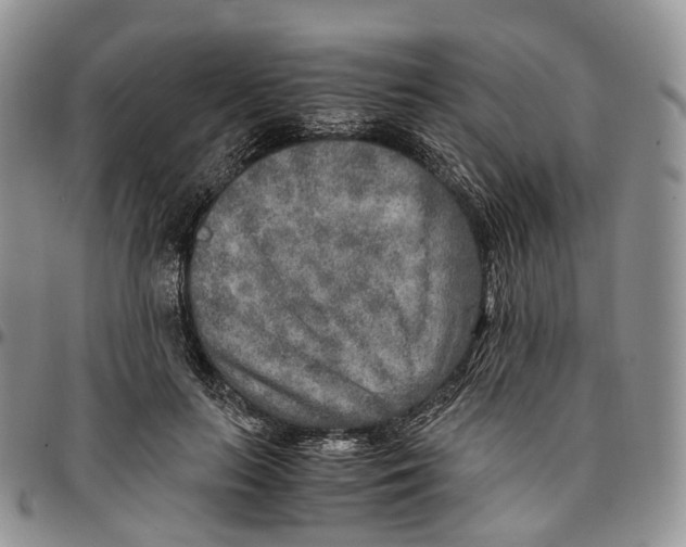 X0000096700647200803041322