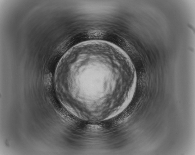 X0000096700649200803041322
