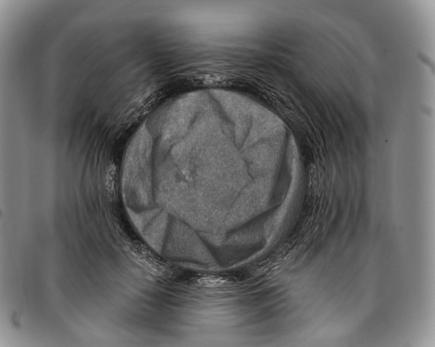 X0000096700650200803041322