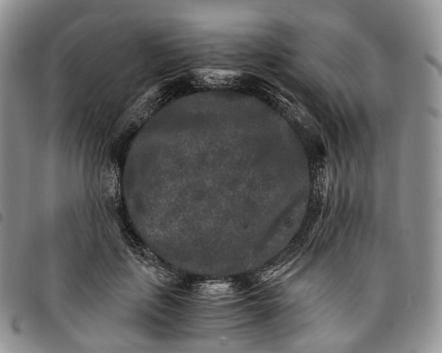 X0000096700651200803041322