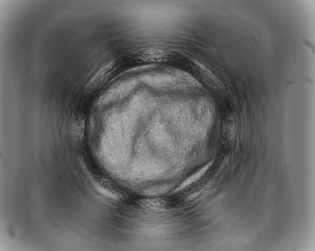 X0000096700652200803041322