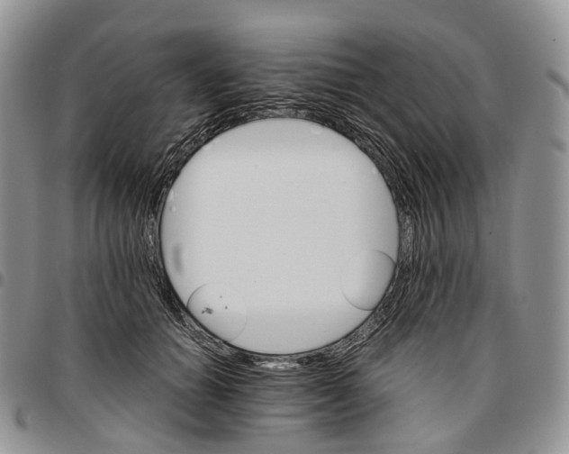 X0000096700654200803041322