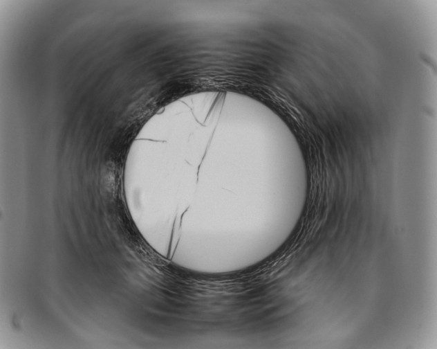 X0000096700655200803041322