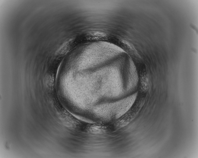 X0000096700657200803041322