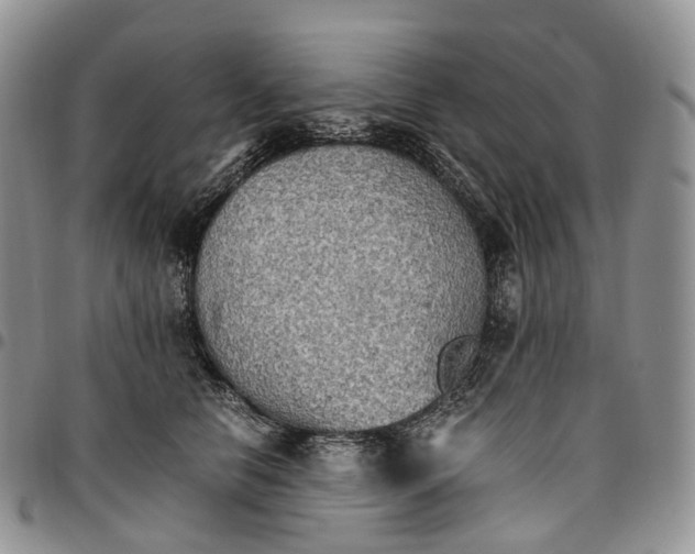 X0000096700658200803041322