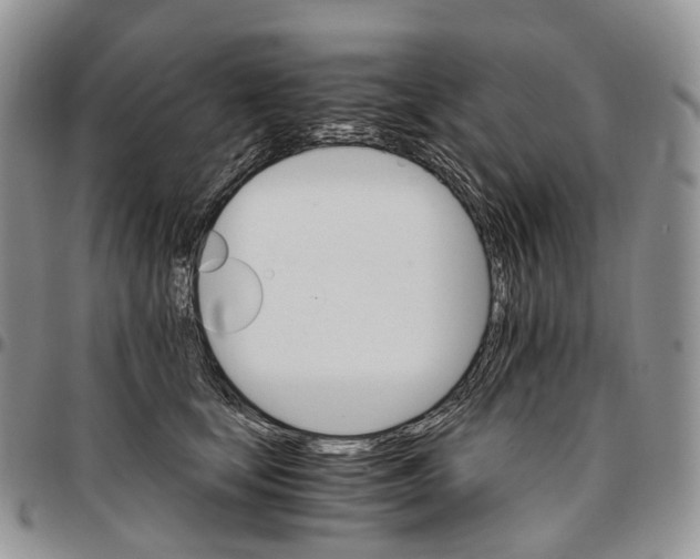 X0000096700659200803041322