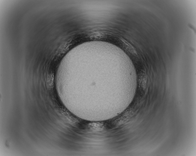X0000096700660200803041322