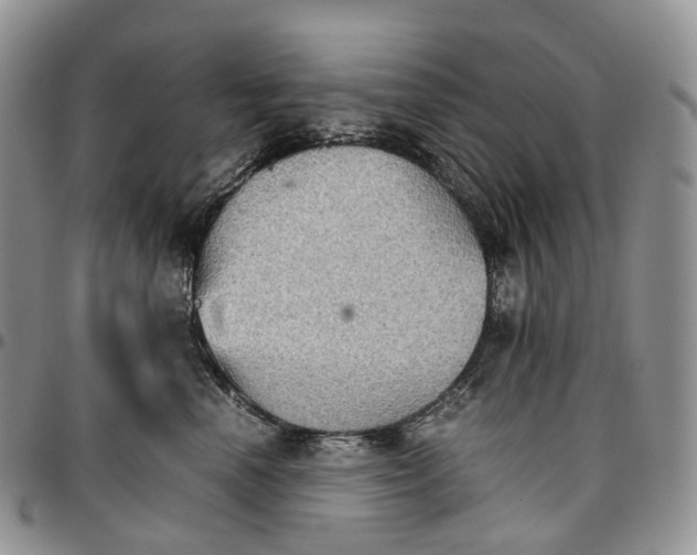 X0000096700666200803041322