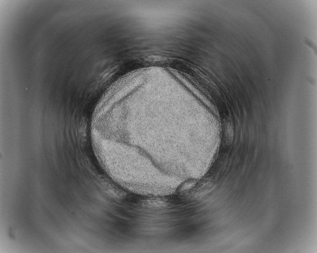 X0000096700668200803041322