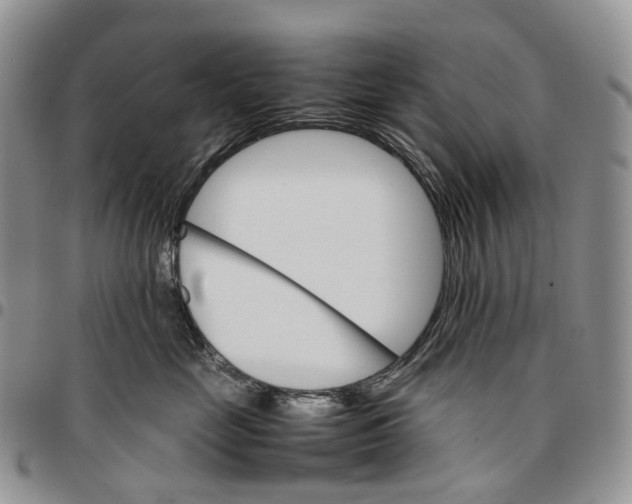 X0000096700669200803041322