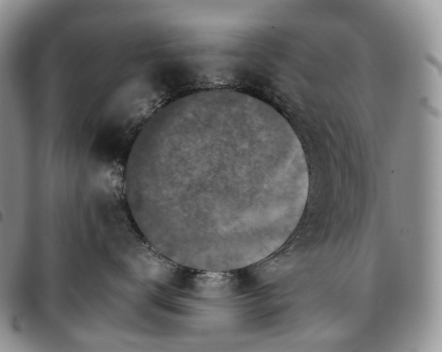 X0000096700672200803041322