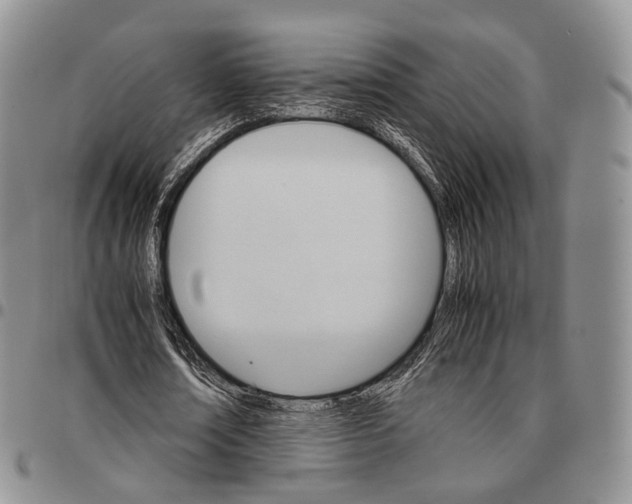 X0000096700674200803041322
