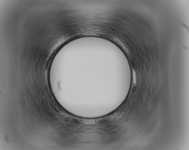 X0000096700675200803041322