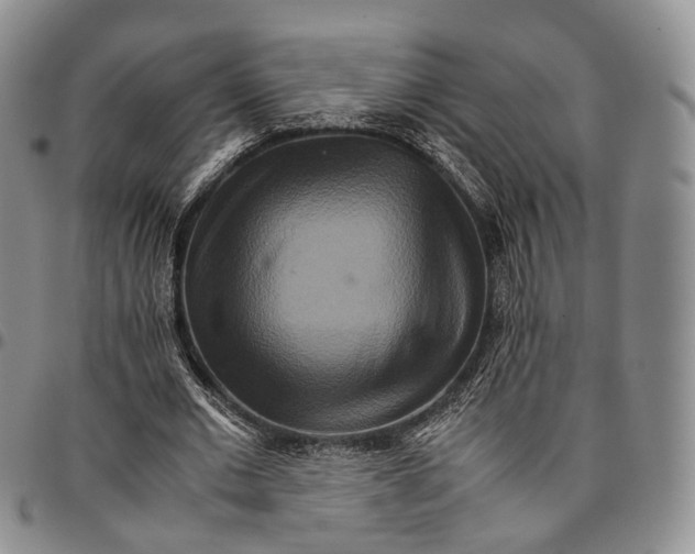 X0000096700677200803041322