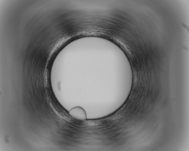 X0000096700678200803041322
