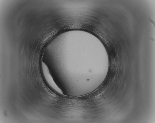 X0000096700681200803041322