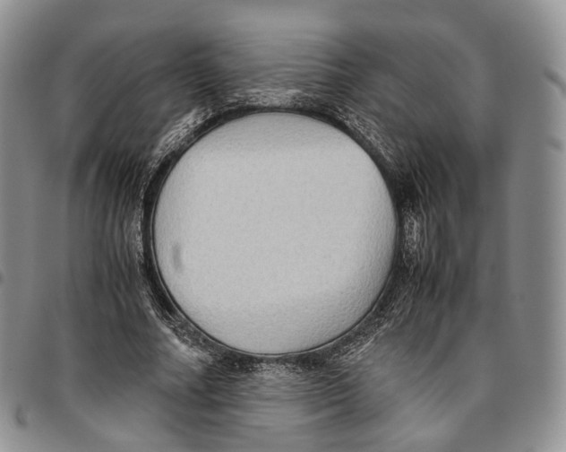 X0000096700682200803041322