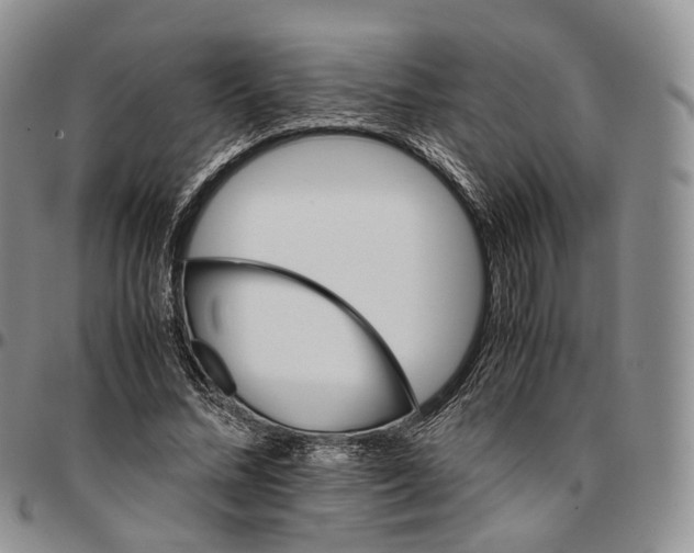 X0000096700684200803041322