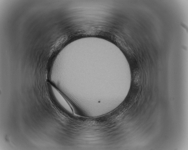X0000096700685200803041322