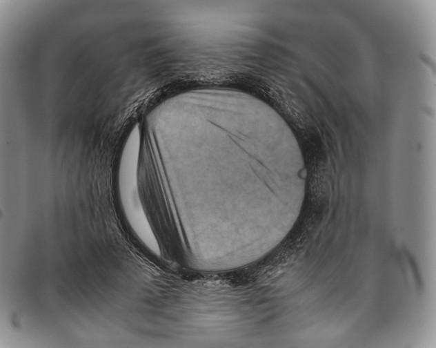 X0000096700689200803041322