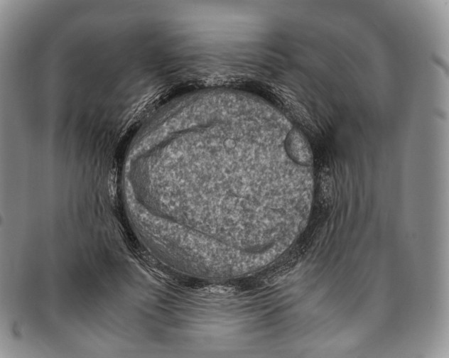 X0000096700691200803041321
