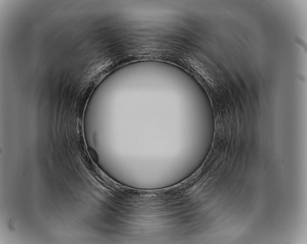 X0000096700692200803041321