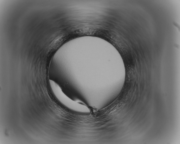 X0000096700693200803041321