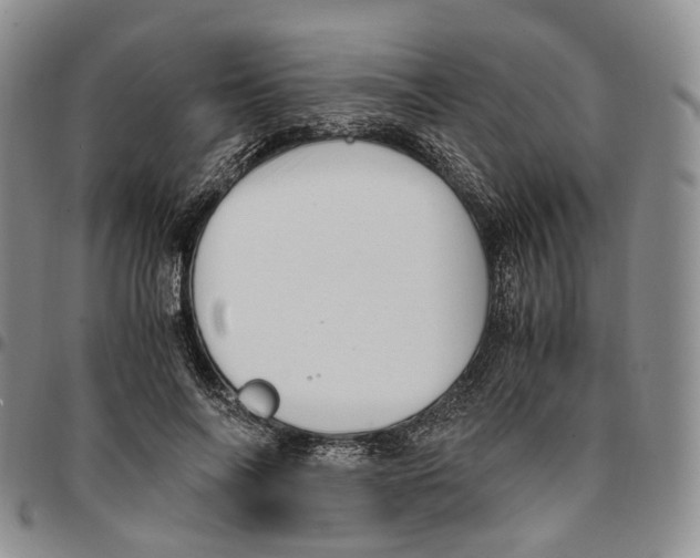 X0000096700694200803041321