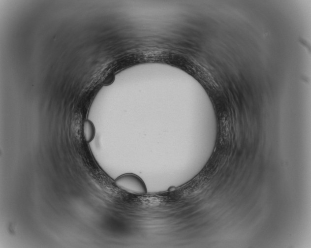 X0000096700698200803041321