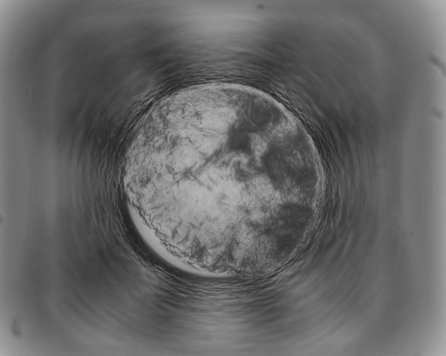 X0000096700699200803041321