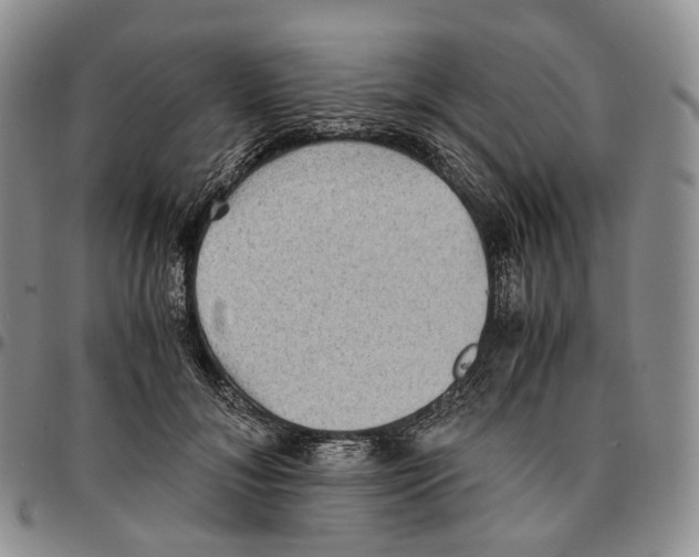 X0000096700700200803041321