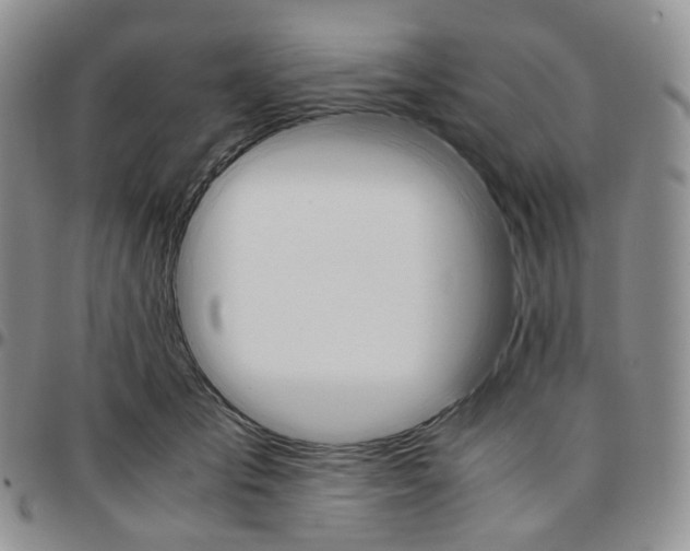 X0000096700701200803041321