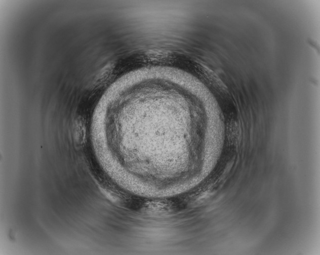 X0000096700703200803041321
