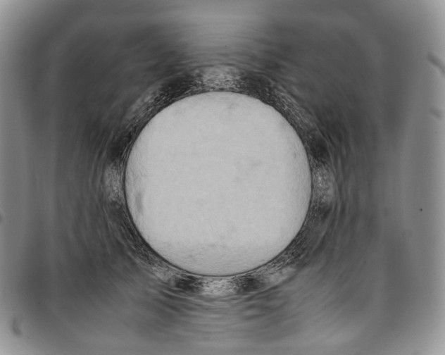 X0000096700705200803041321