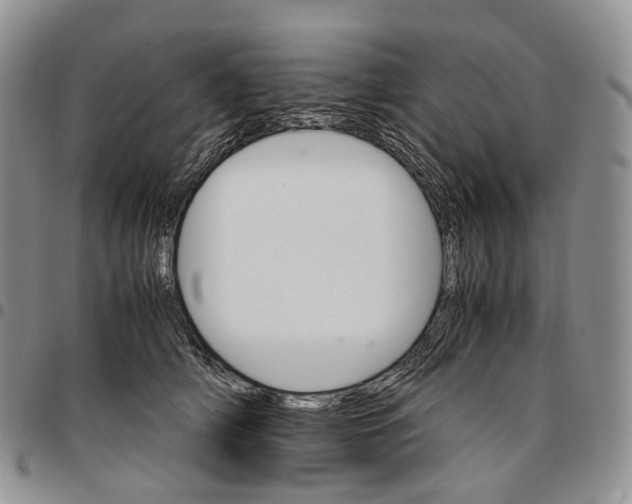X0000096700706200803041321