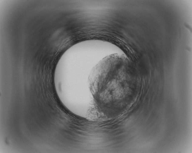 X0000096700707200803041321
