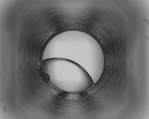X0000096700708200803041321