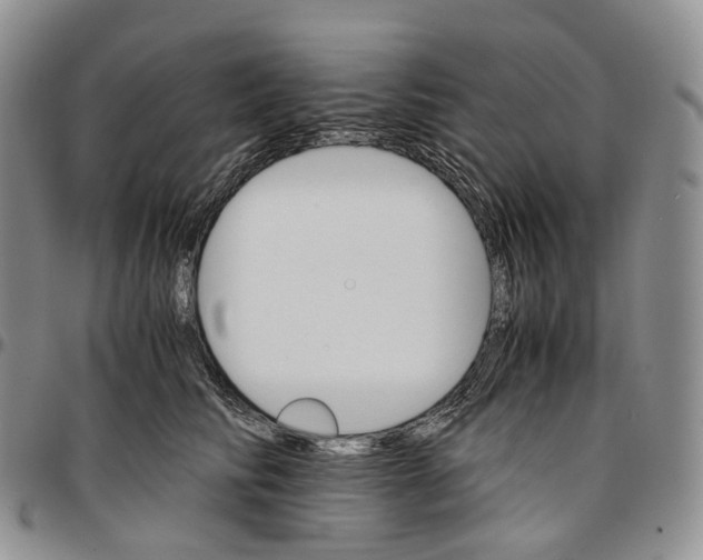 X0000096700710200803041321