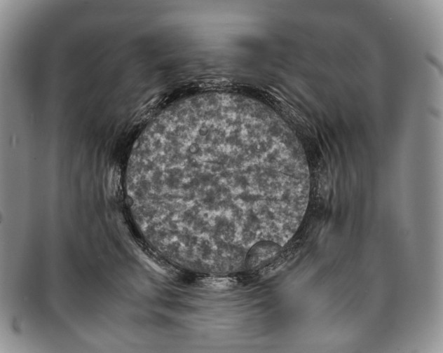 X0000096700711200803041321