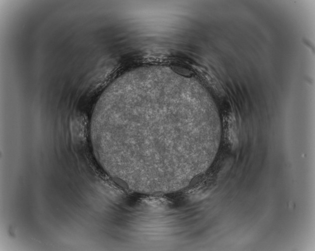X0000096700712200803041321