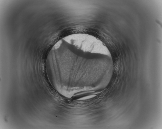X0000096700715200803041321